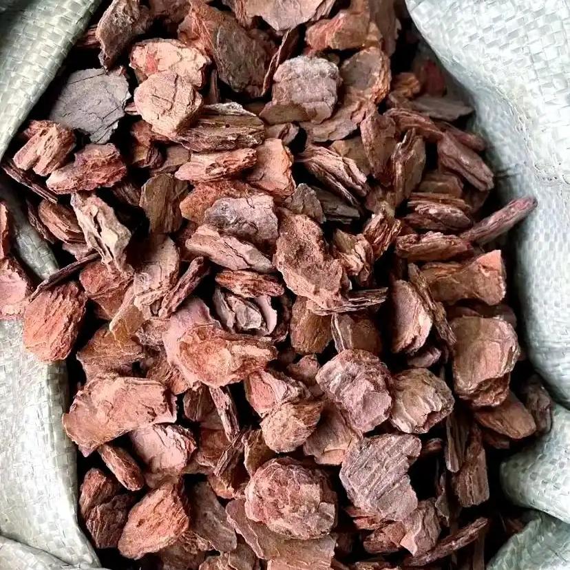 松树皮提取物